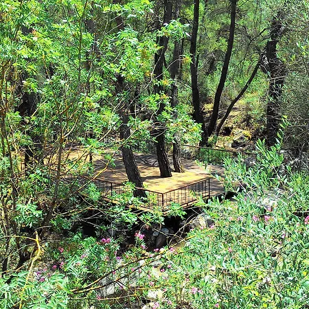 Angels Garden Hotel Antalya