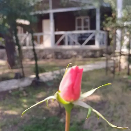Отель Angels Garden