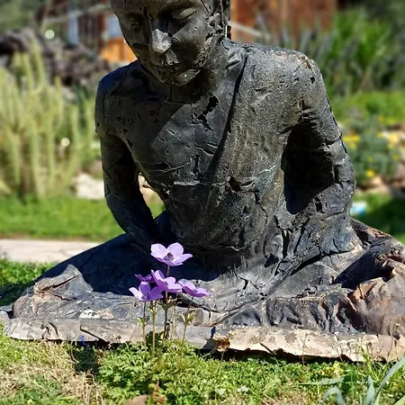 Отель Angels Garden *