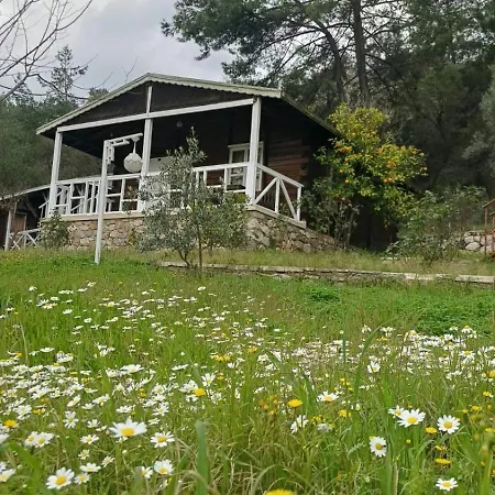 Отель Angels Garden Олимпос
