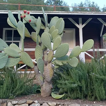 Отель Angels Garden