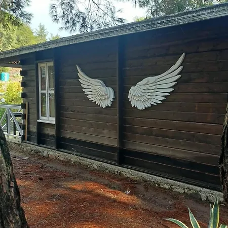 Angels Garden Отель Олимпос