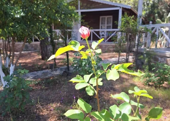 Angels Garden * Antalya