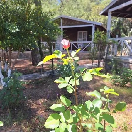 Angels Garden * 安塔利亚